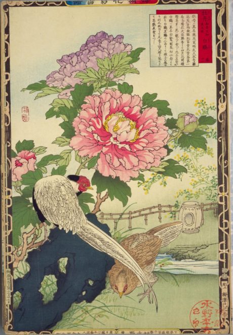 これぞ花鳥画のお手本！江戸〜明治の日本画・楳嶺花鳥画譜