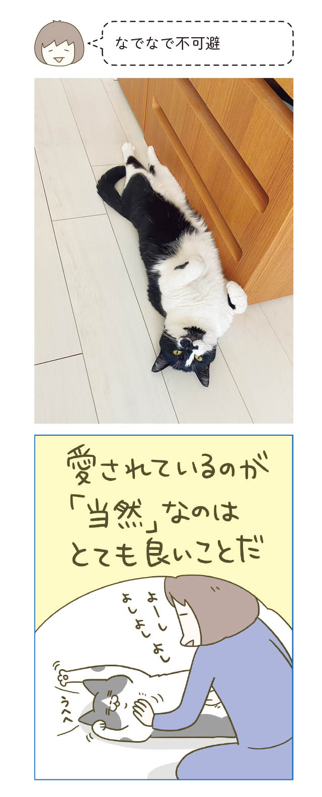 楽天市場】【48％引き】 ムサシ 超音波猫よけ 猫しっし（REP-600
