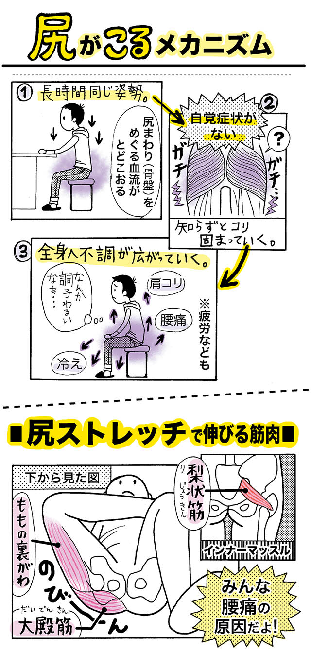 活動歴および当時の関連ビジュアル記録