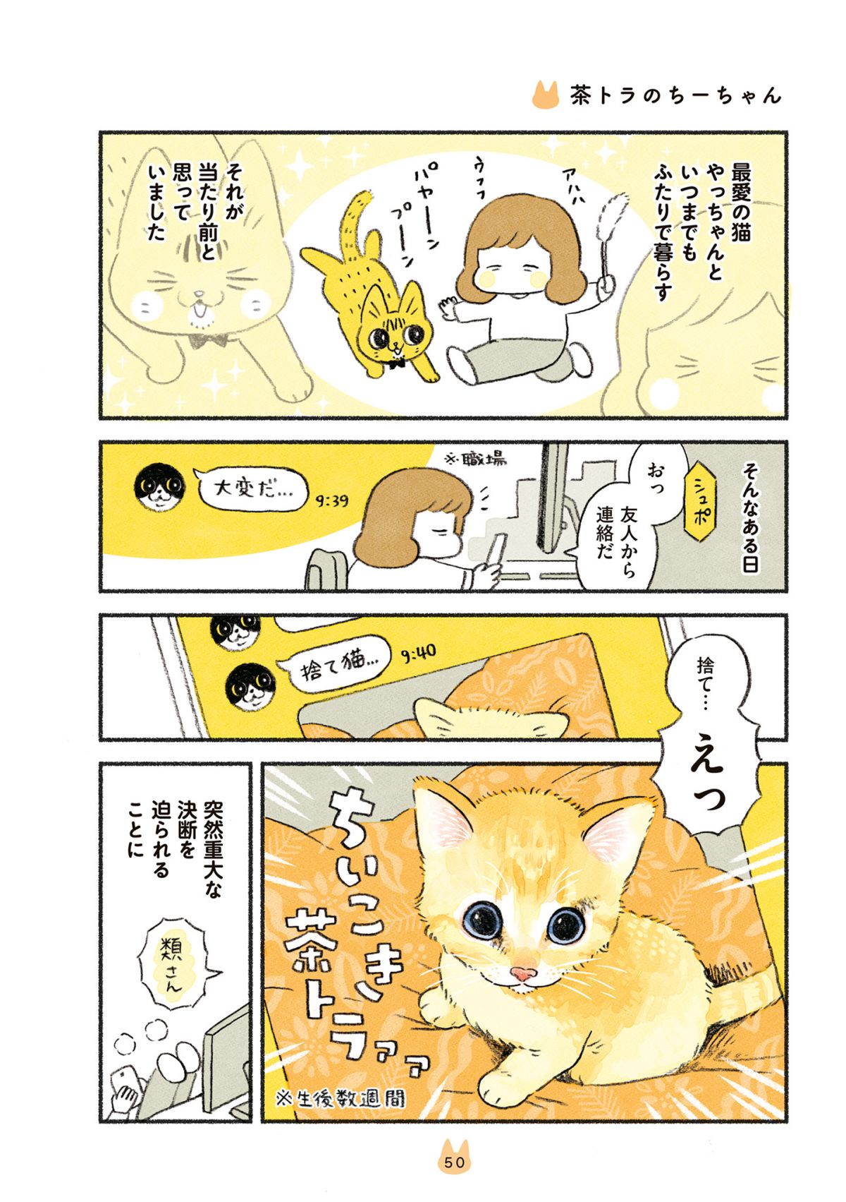 おてんば猫やっちゃんとの日々に変化が！ 新たな茶トラ猫を迎えたら2匹