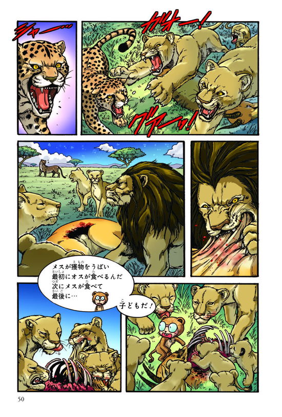 どっちが強い!? ライオンvsトラ 陸の最強王者バトル どっちが強い】陸の最強王者バトル！ライオンvsトラが戦ったら勝つのは