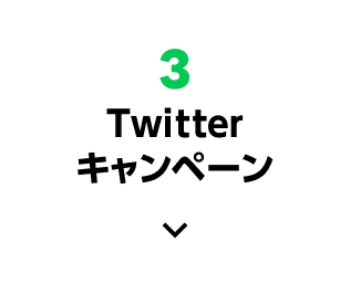 3、Twitterキャンペーン