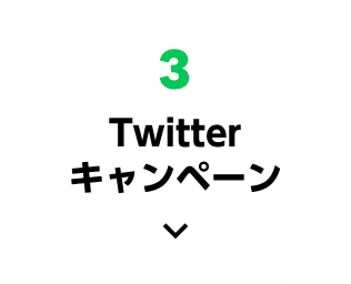 3、「Twitterキャンペーン