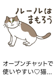 search